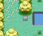 Berry Forest - Pokémon FireRed / LeafGreen
