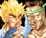Character Portraits - Fighter's History