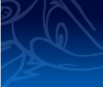 Boss Attack Menu - Sonic Adventure 2: Battle