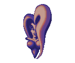 Dark Queen Hologram - Battletoads