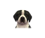 Great Danes - Nintendogs + Cats