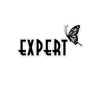DJ Level - beatmania IIDX Series