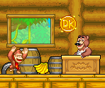 Brothers Bear (Donkey Kong: King of Swing-Style) - Donkey Kong Customs