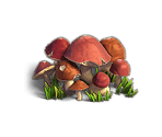 Mushrooms - Fidelity (Верность)