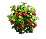 Raspberries - Fidelity (Верность)