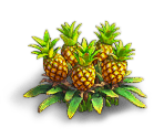 Pineapple - Fidelity (Верность)