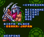 Character Bios - Teenage Mutant Ninja Turtles: Tournament Fighters