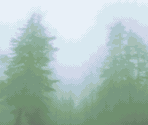 Riverside - Donkey Kong Country 3