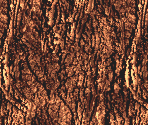 Waterfall & Cave - Donkey Kong Country 3