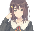 Mayuri (Printemps) - Flowers