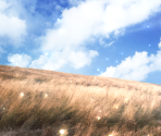 Backgrounds (3/3) - Clannad