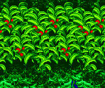 Aquatic Ruin Zone Act 2 (Dry) - Sonic the Hedgehog 2