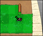 Front Yard - Plants vs. Zombies