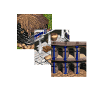 Buildings (Expansion) - Age of Empires