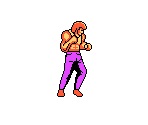 Duke/Frank/Tim - Fighting Hero III (Bootleg)