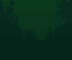 Jungle, Monsters & Default - Knife Hit
