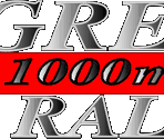Attract Mode (USA Version & Evolution Model) - 1000 Miglia: Great 1000 Miles Rally