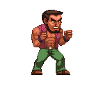 Brawler 02 - Hong Kong Ninja