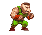 Wrestler 02 - Hong Kong Ninja
