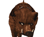 Wild Boar - Redneck Rampage