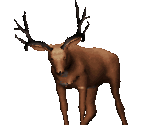 Deer - Redneck Rampage