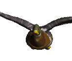 Duck - Redneck Rampage