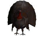 Turkey - Redneck Rampage