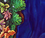 Who's Bayou Levels - Logical Journey of the Zoombinis
