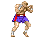 Sagat - Street Fighter 2 / Super Street Fighter 2