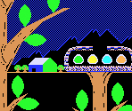 Background - Birdiy