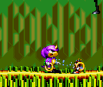 Isolated Island (Intro) Levels 0 & 1 (Sunset) - Knuckles' Chaotix (32X)