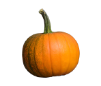Various Other Assets - Pesterquest