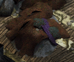 Ojo's House - Planescape: Torment