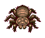 Spider - Gals Panic
