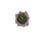 Ectoplasm - Castlevania Adventure ReBirth