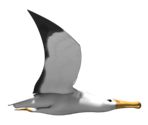 Albatross and Objects - YetiSports