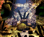 Banana Bird Caves - Donkey Kong Country 3: Dixie Kong's Double Trouble