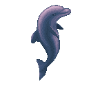 Ecco - Ecco the Dolphin