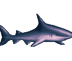 Shark - Ecco the Dolphin