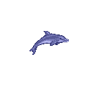 Ecco & Dolphins - Ecco the Dolphin