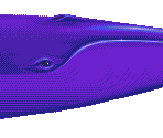 Big Blue Whale - Ecco the Dolphin