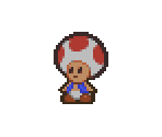Dane T. - Paper Mario