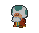 Toad Chancellor - Paper Mario