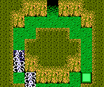 C-Island Caverns - StarTropics