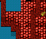 Whale - StarTropics