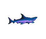 Shark - Ecco: The Tides of Time