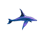 Future Dolphin - Ecco: The Tides of Time