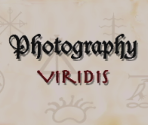 Credits - Zelda's Adventure