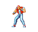 Terry Bogard - Quiz King Of Fighters