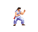 Lee - Fighter's History